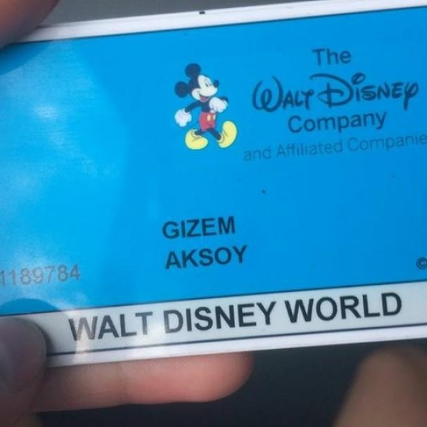 Walt Disney World International College Programs 2015-2016